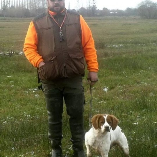 chien Epagneul breton F-OR-PAN-BLA Nike Des Plumes Des Marais Du Cotentin